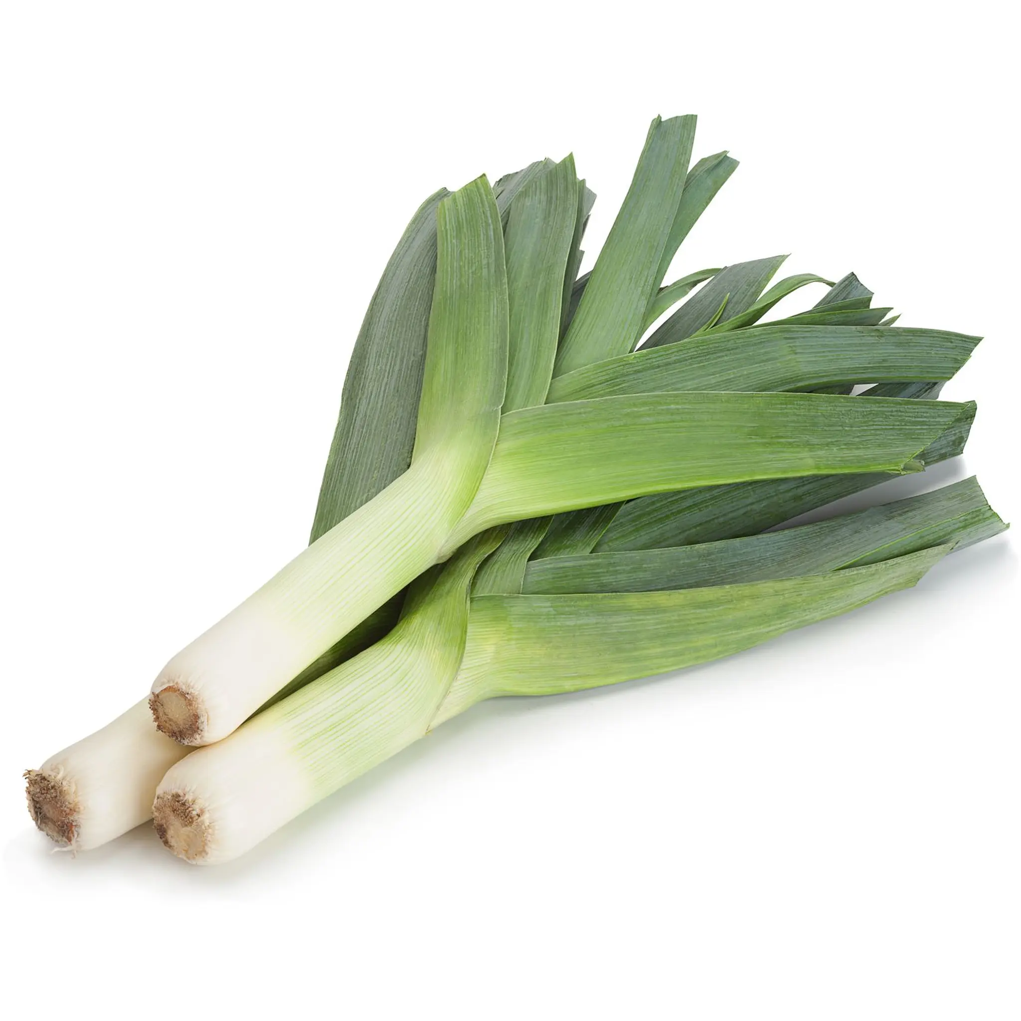 Poireaux botte
