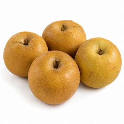 Lot de 4 pommes nashi BIO du Sud-Ouest - direct producteur (petit calibre), France