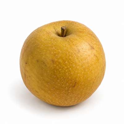 Pomme Nashi BIO du Sud-Ouest - direct producteur (petit calibre), France