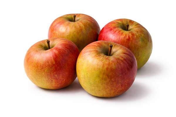 Lot de 4 pommes Boskoop (calibre moyen), Pays-bas