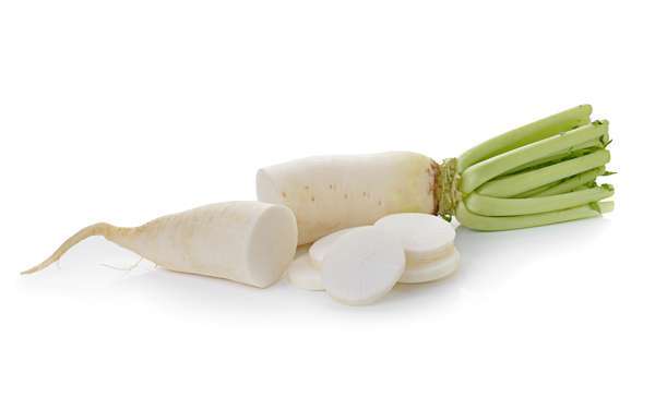 Radis blanc "Daikon" BIO du Finistère Nord - Direct producteur, France