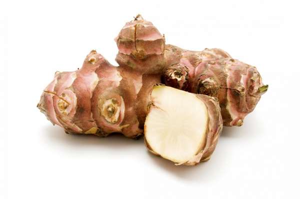 Filet de topinambours BIO du Finistère Nord - Direct producteur (500 g), France