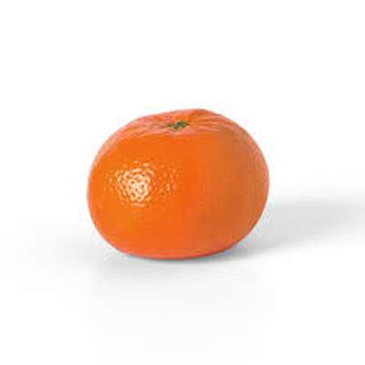 Mandarine Nadorcott (gros calibre), Afrique du Sud