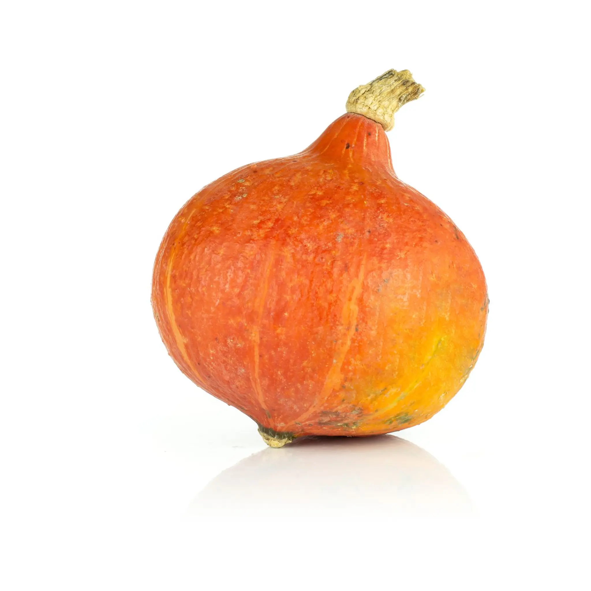 Potimarron
