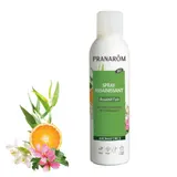 Spray Assainissant Purifiant 100% d'Origine Naturelle Ravintsara et Tea-Tree Bio PRANAROM