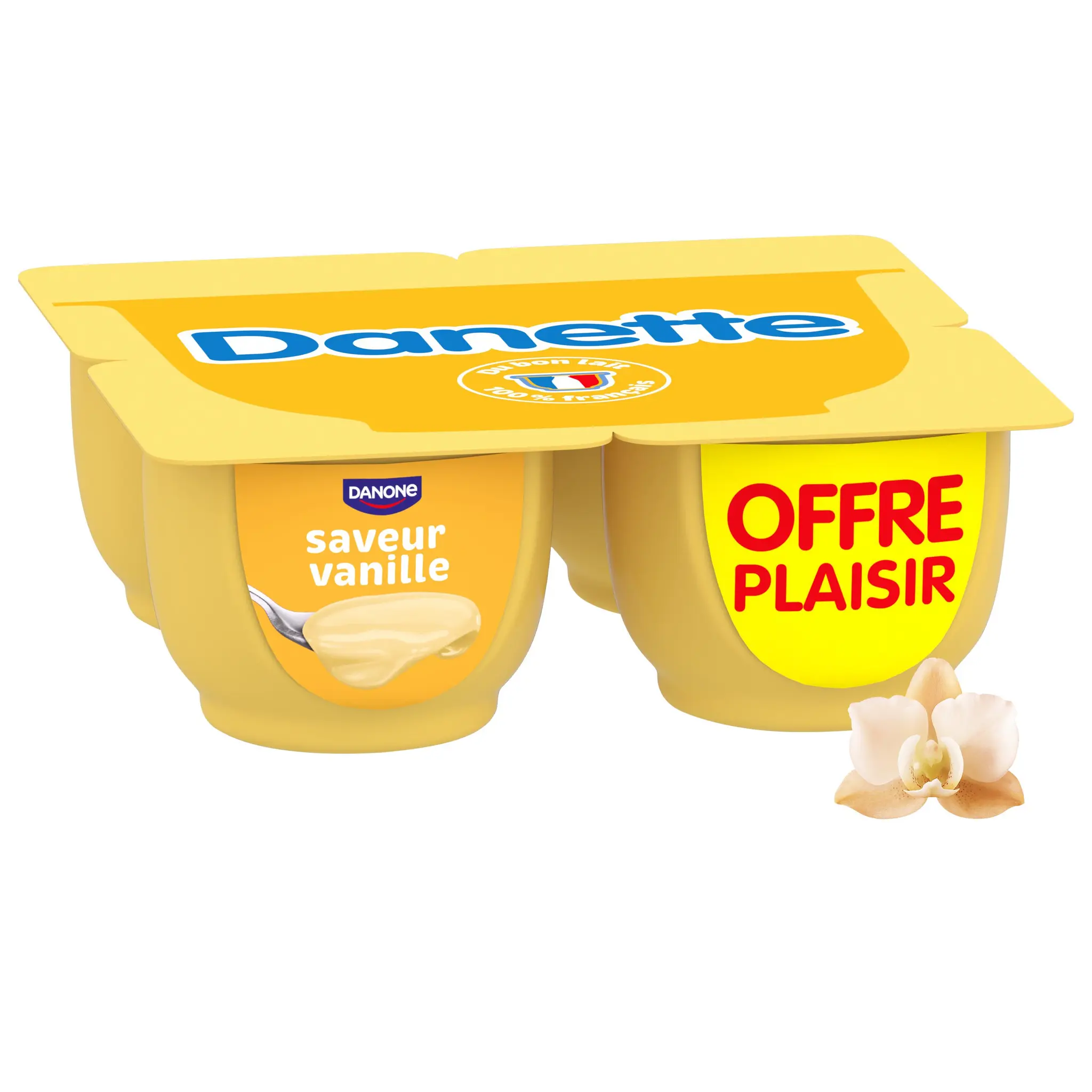 DANETTE Crème dessert saveur vanille