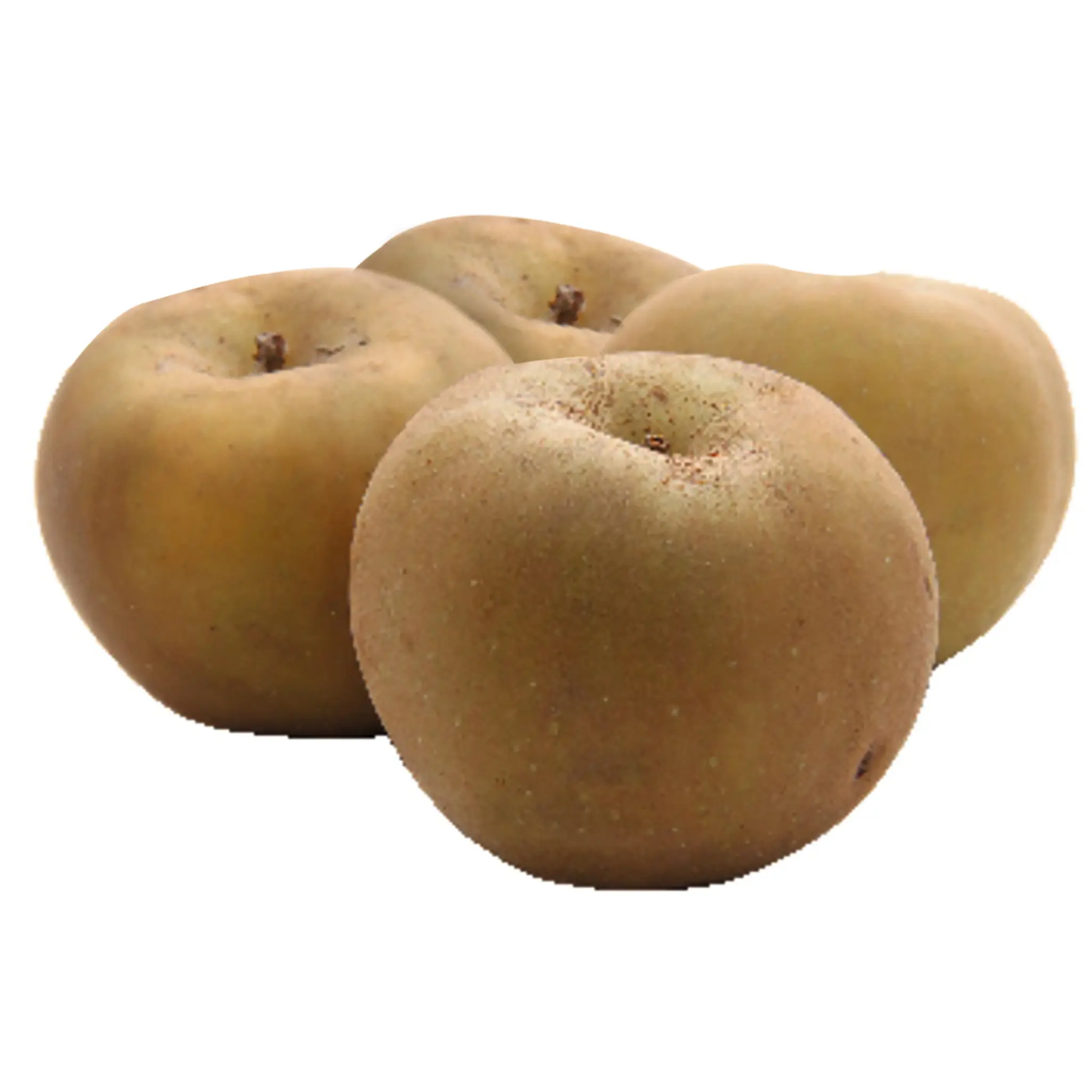 Pommes Reinette du Canada bio