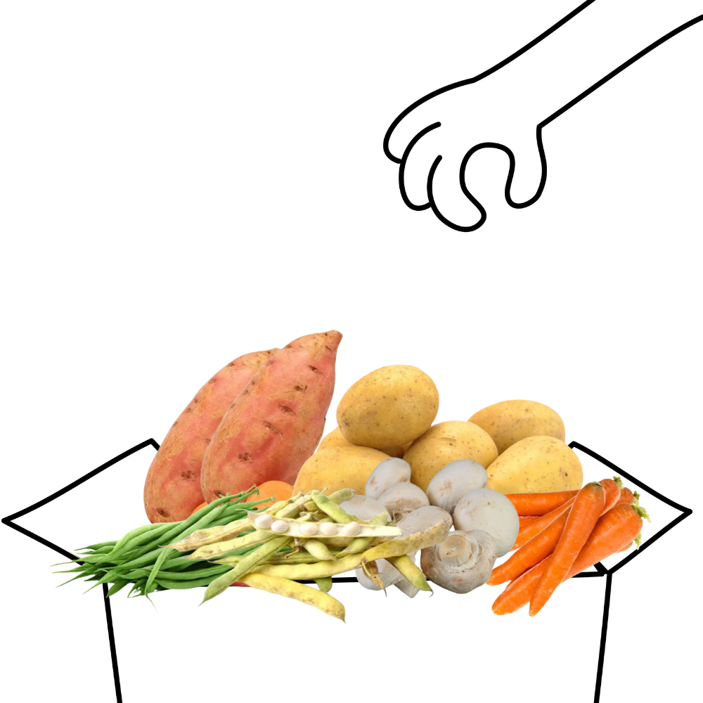 Grand panier de légumes bio - 4 à 5 personnes