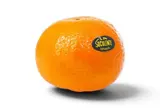 Mandarine Orri "La Soculente" (petit calibre), Afrique du Sud