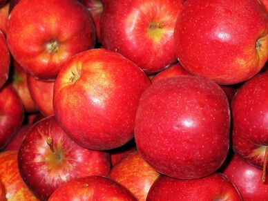 Pommes Gala bio cal:95+ cat:2 St julien de concelles France le sachet de 1kg5