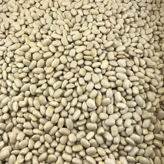 Haricot Blanc Bio En Vrac 500g VRACBIO