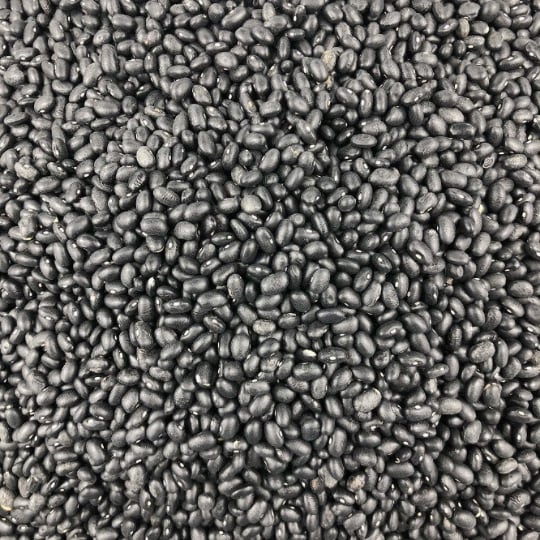 Haricot Noir Bio En Vrac 1kg VRACBIO