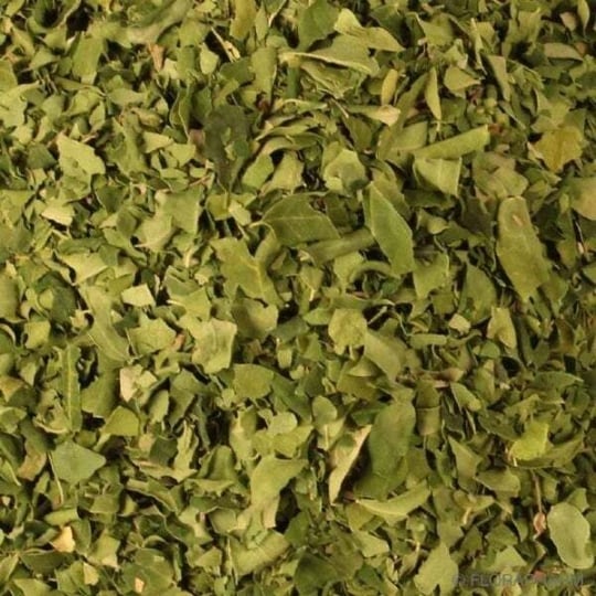 Tisane De Feuilles De Moringa Bio 100g FRUITSTROPICAUX
