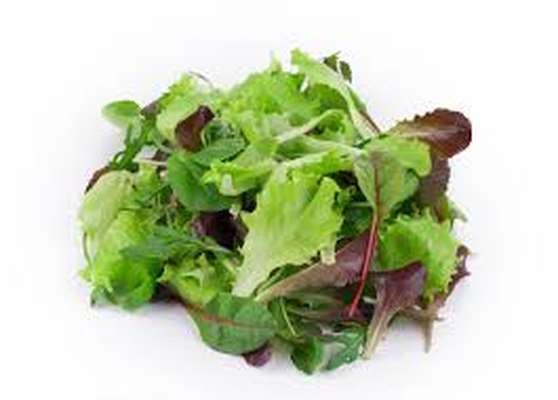 Mélange de jeunes pousses mesclun (125 g), UE