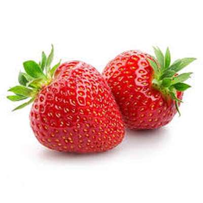 Barquette de fraises rondes (500 g), Belgique
