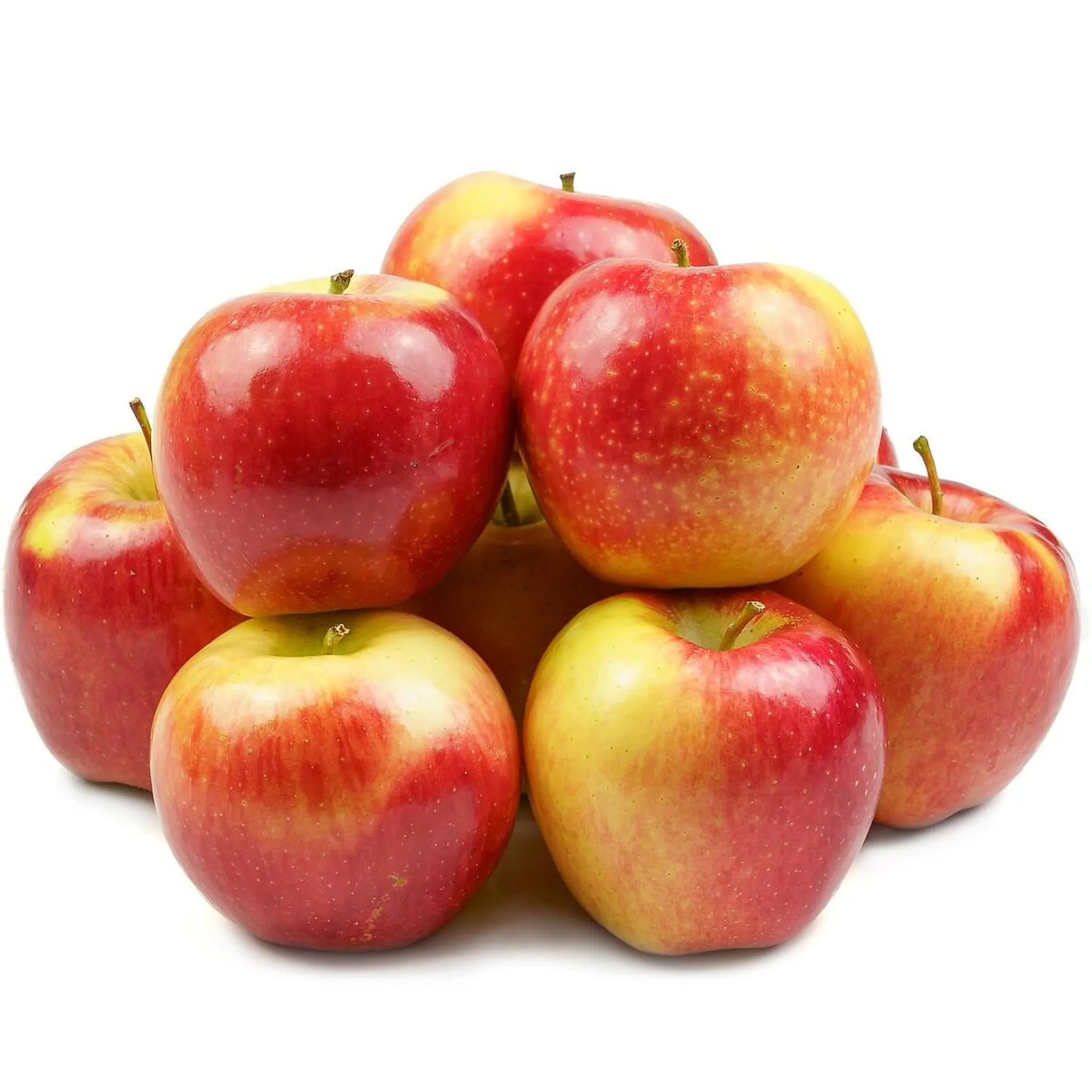 Pommes Reine des Reinettes Bio