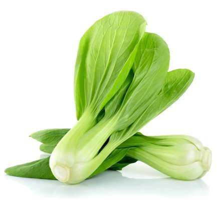 Pak choi (sachet de 2 pièces), Espagne