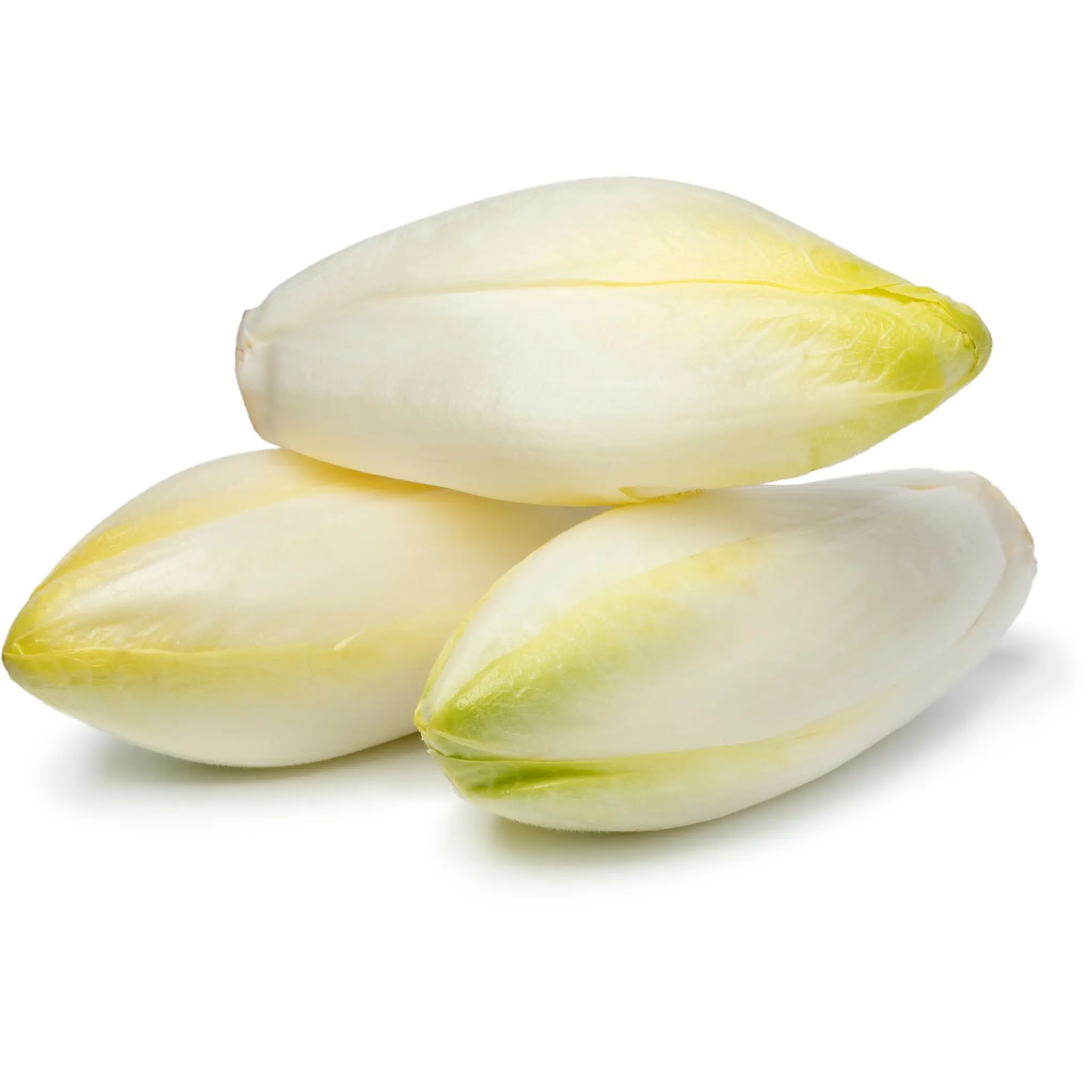 Endives bio