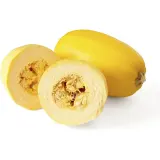 Courge spaghetti