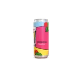 Kombucha framboise canette bio