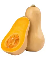 Courge Butternut petit calibre bio origine France