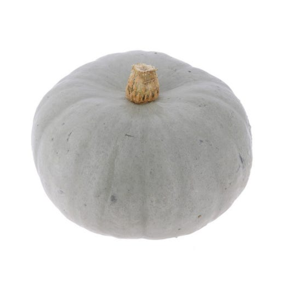 Courge Bleue de Hongrie petit calibre bio origine France