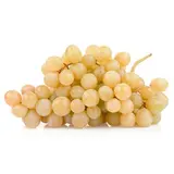 Raisin Blanc Chasselas AOP