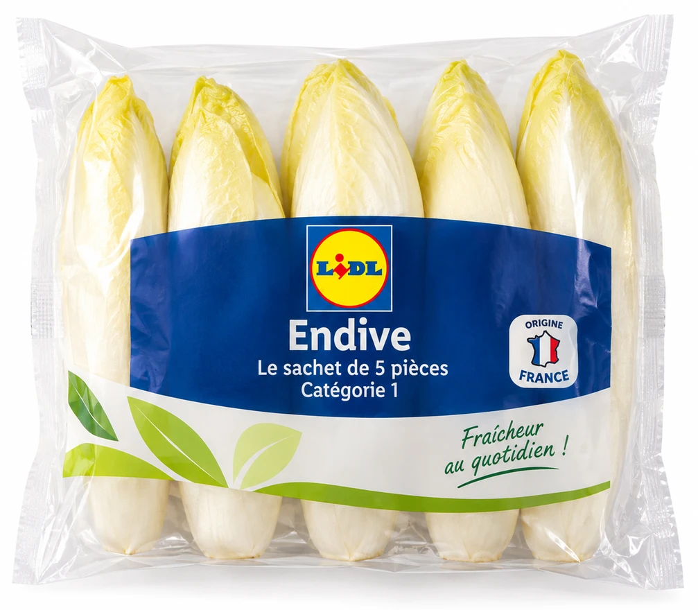 Endive