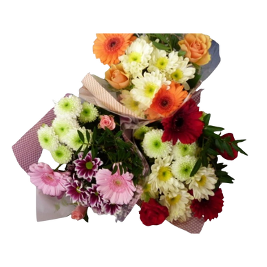 Bouquet Ruby 7 tiges, hauteur 50cm, Pays-Bas