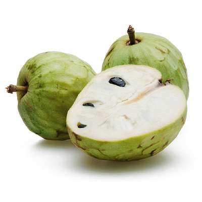 Anone ou "Cherimole" (calibre moyen), Espagne