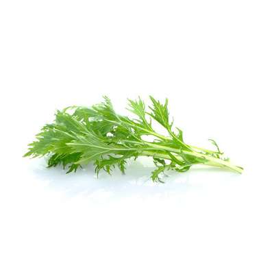 Jeunes pousses de mizuna (125 g), France