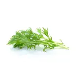 Jeunes pousses de mizuna (125 g), France