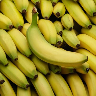 Banane Cavendish