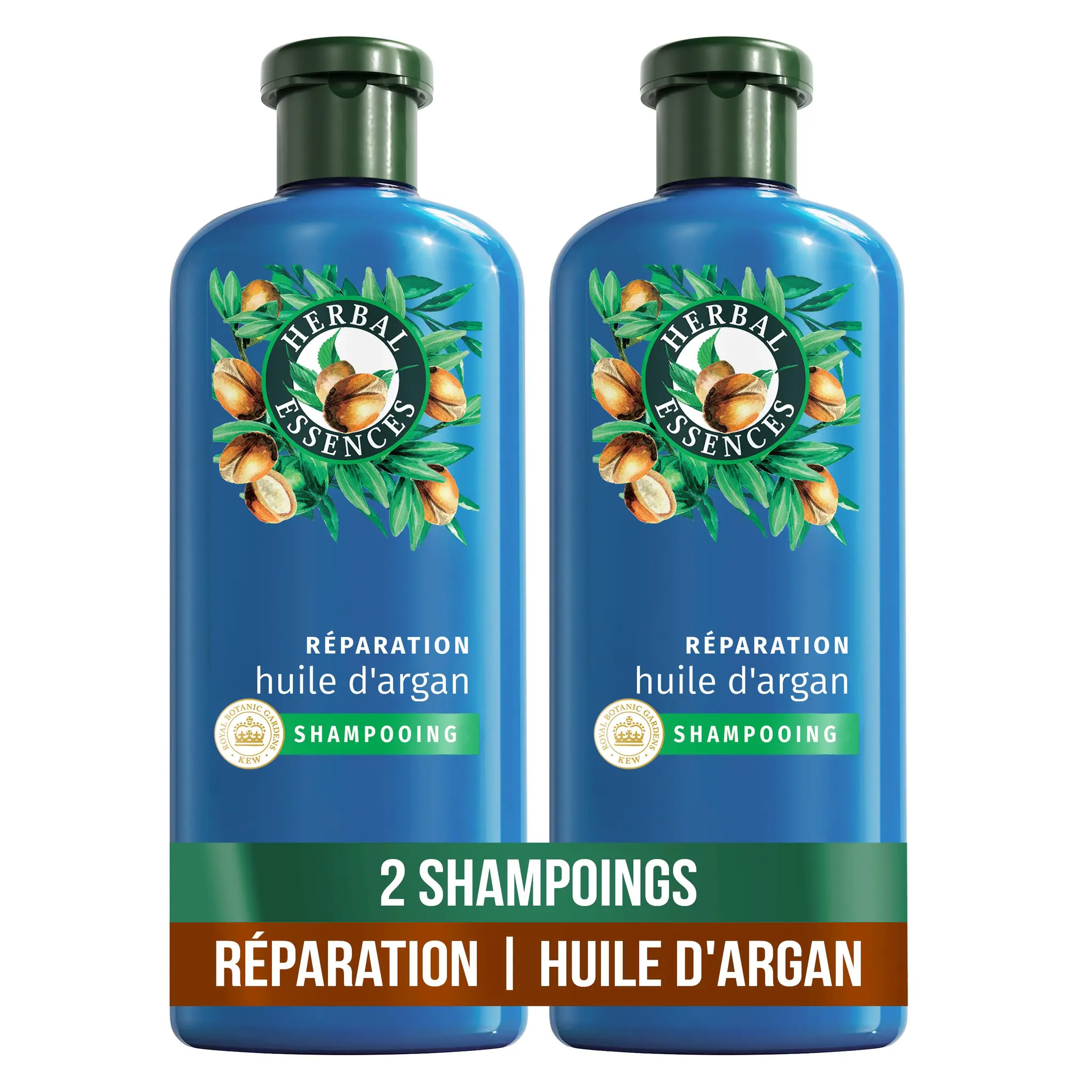 HERBAL ESSENCES Shampooing réparation huile d'argan