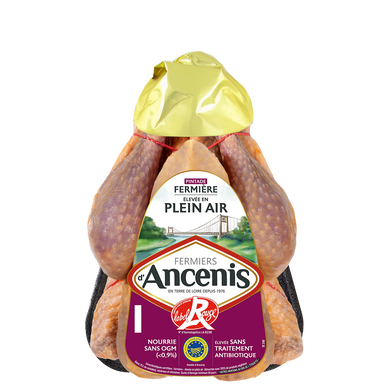 Pintade fermière, Fermiers d'Ancenis, France, 1 pièce