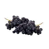Raisin noir bio origine France