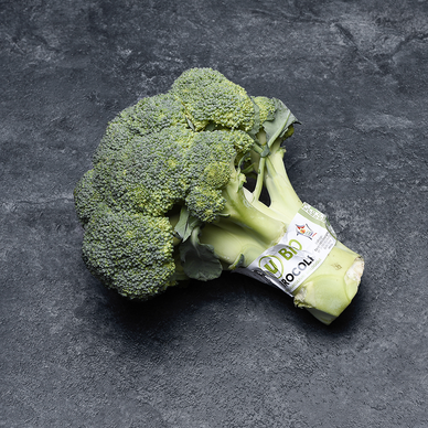 Chou brocoli - La pièce