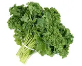 Chou Kale BIO du Finistère Nord - Direct producteur, France