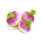 Filet de navets violet BIO du Finistère nord (500 g), France