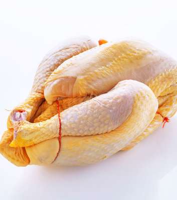 Poulet jaune fermier Halal (1.5 à 1.6 Kg)
