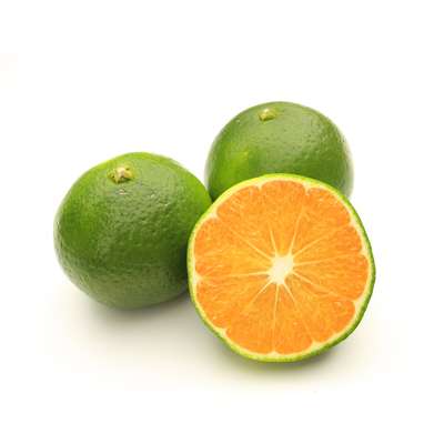 Mandarine Satsuma BIO (pack de 500 g), Italie