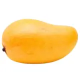 Mangue sauvage "Ataulfo" BIO (150 à 250 g) (calibre moyen), Equateur