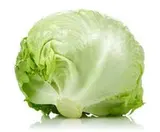 Salade Iceberg (0.2 à 0.4Kg) (très petit calibre), Espagne