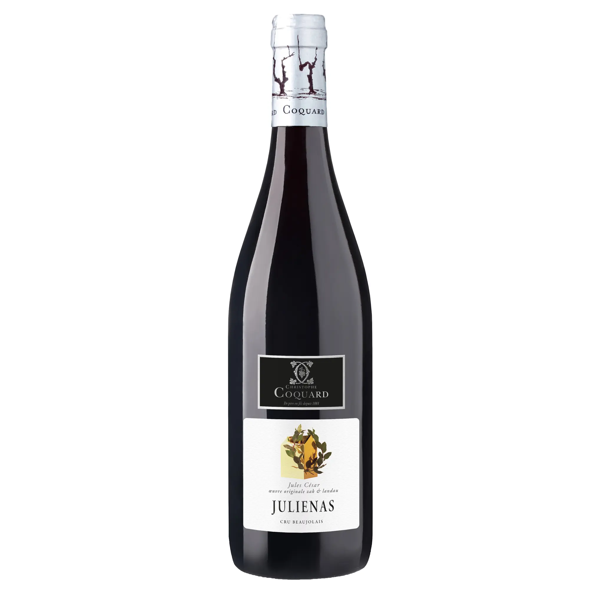 Vin rouge AOP Juliénas Jules César Christophe Coquard cru Beaujolais