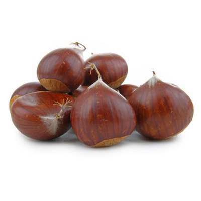 Panier de marrons frais d'Ardèche (500 g), France