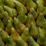Poire Conférence