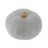 Courge Bleue de Hongrie petit calibre bio origine France