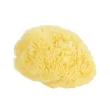 COSMIA Eponge de mer douce & délicate, 1 éponges