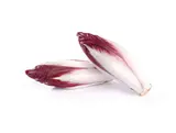 Endive rouge des Hauts-de-France (pack de 500 g soit 2 à 4 pièces), France