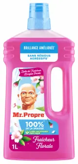 Mr. Propre Fraîcheur florale